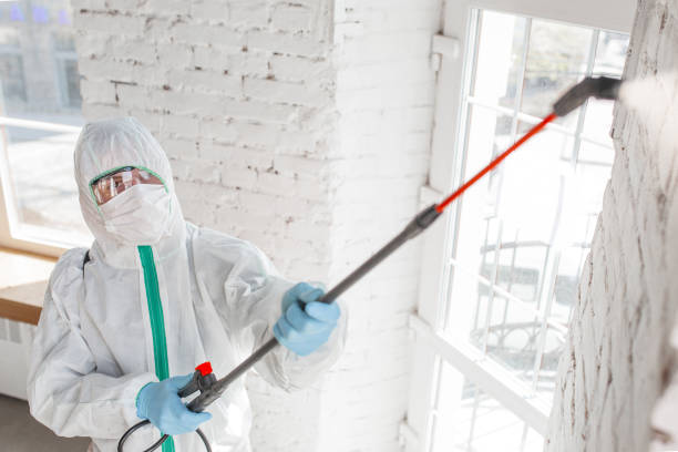 Biohazard Mold Removal in Venice Gardens, FL